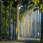 GALLERY_RBG-5